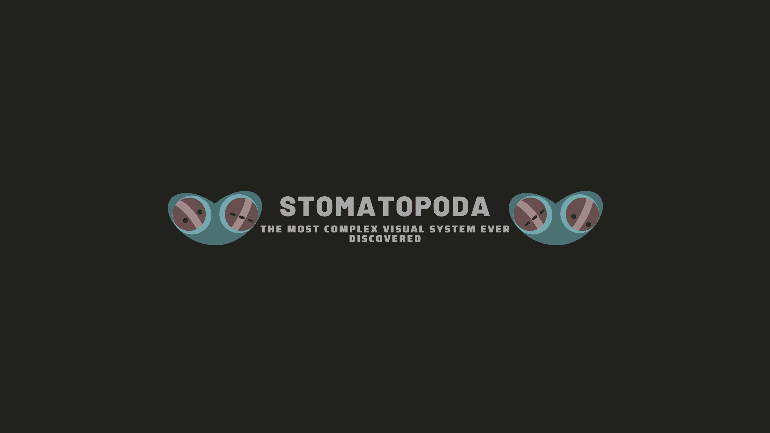 Bilgisayarlı Görü’ye İlham Veren Dünyanın En Karmaşık Görsel Sistemi